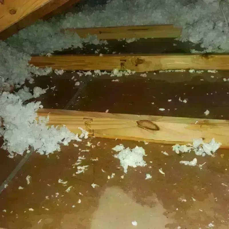 Attic Water Damage in Greenville, IL