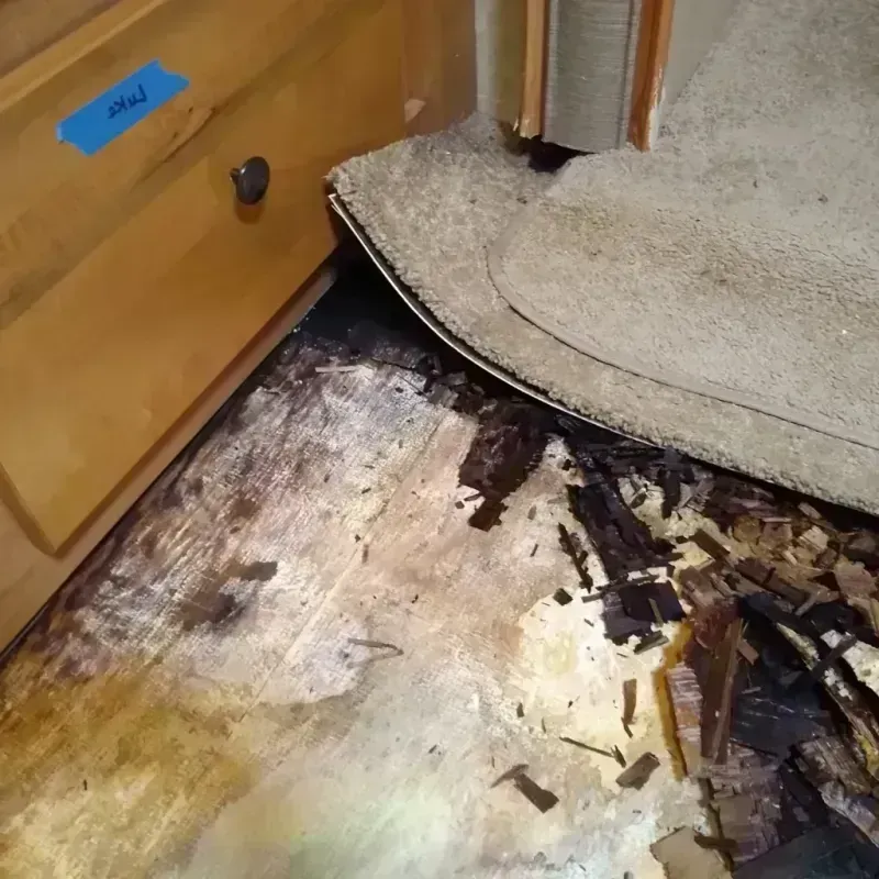 Wood Floor Water Damage in Greenville, IL